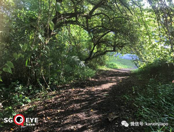 昨天小长假人山人海，武吉知马老铁路成新景点！前生今世大揭秘