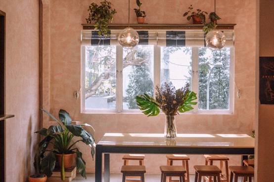 想找一个安静的地方工作学习？新加坡这6个宝藏咖啡馆值得收藏