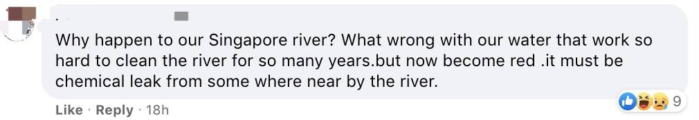 罕见!新加坡圣淘沙这条河变成了粉色,惊现大批死鱼!39年创记录暴雨太作了