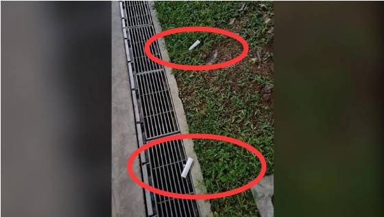 新加坡组屋区卫生巾、纸巾频频从天而下，难道又被野鸡占领