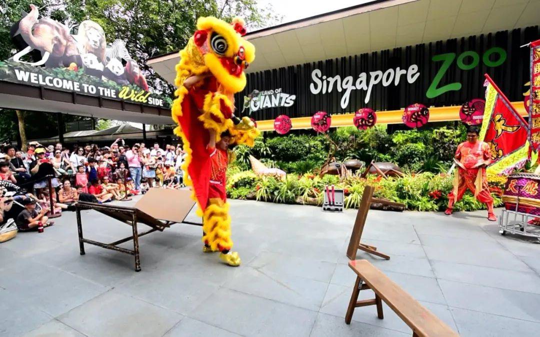 新加坡留学 2021新加坡留学生华人新年习俗早知道