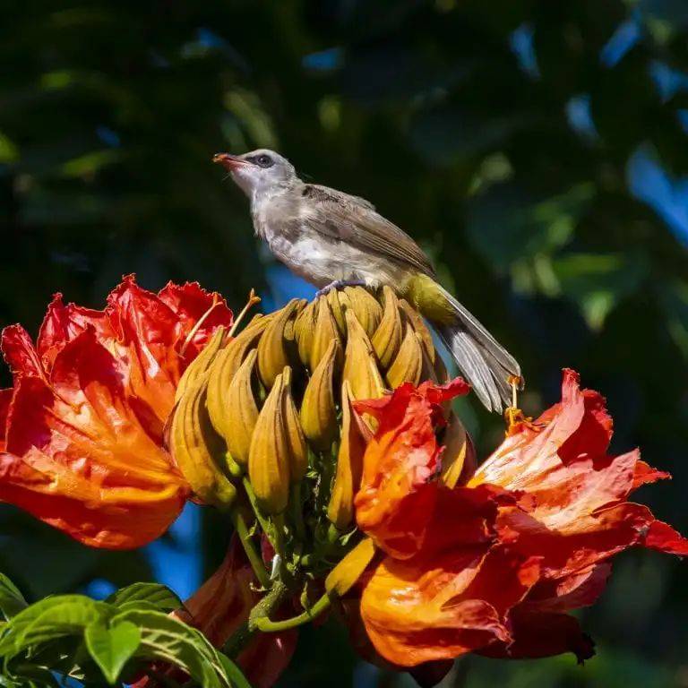 南洋理工大学，每一帧都很美