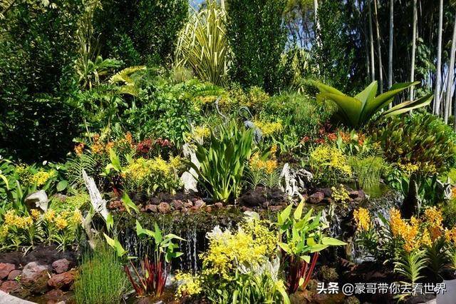 新加坡不枉此行的12大看点（上）分三集介绍）