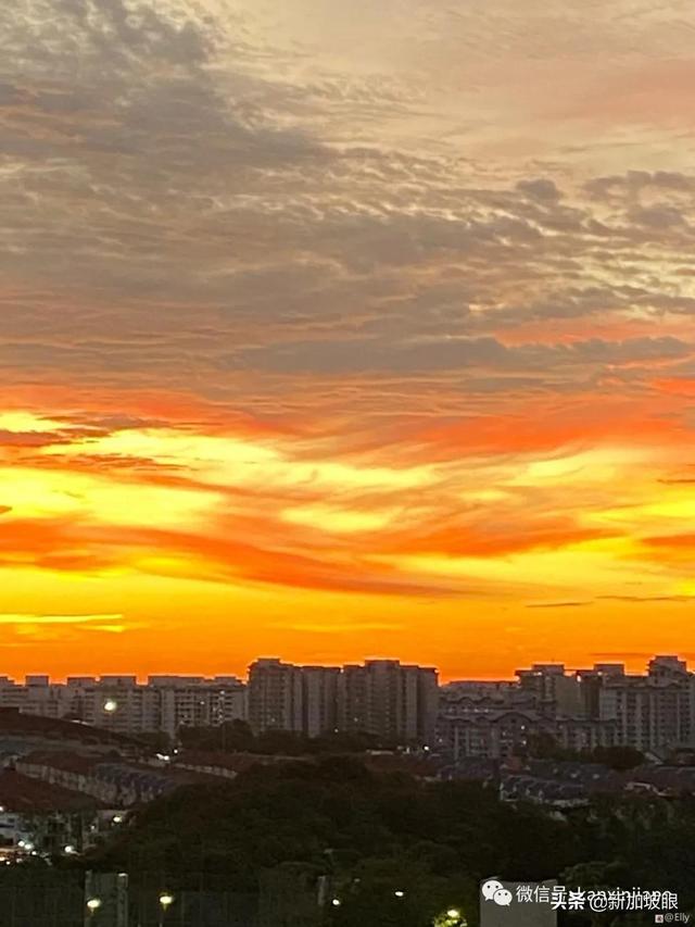 疯狂刷屏！新加坡橘红色晚霞，简直美翻了