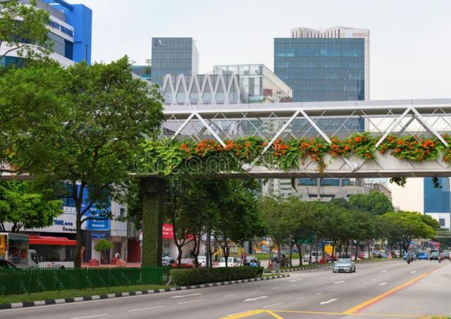 花园城市新加坡，这城建放在国内也许就是二线城市，你认可吗