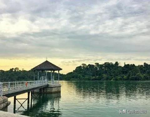 新加坡地处热带，雨量充沛，预防洪水问题很重要