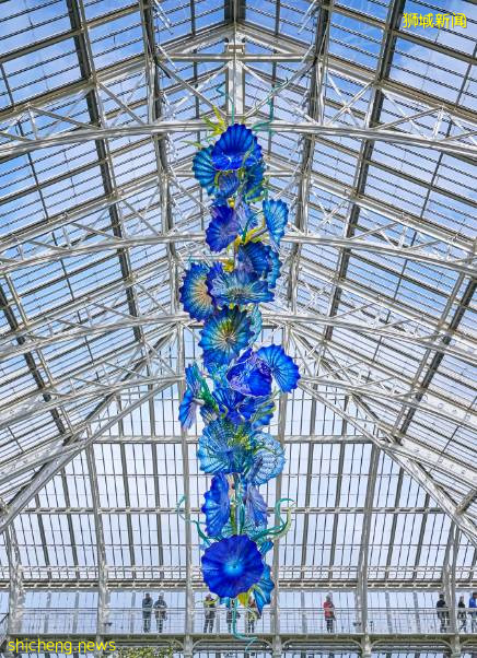 5月这么多假期,新加坡哪里遛娃好?哪里有折扣