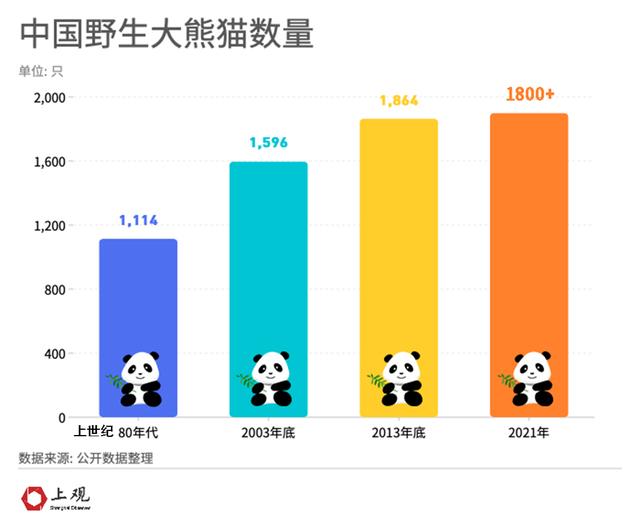 大熊猫新加坡产子惊动李显龙！你知道全球共有多少只“滚滚”吗？