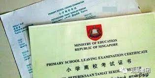 新加坡小学毕业考！不简单