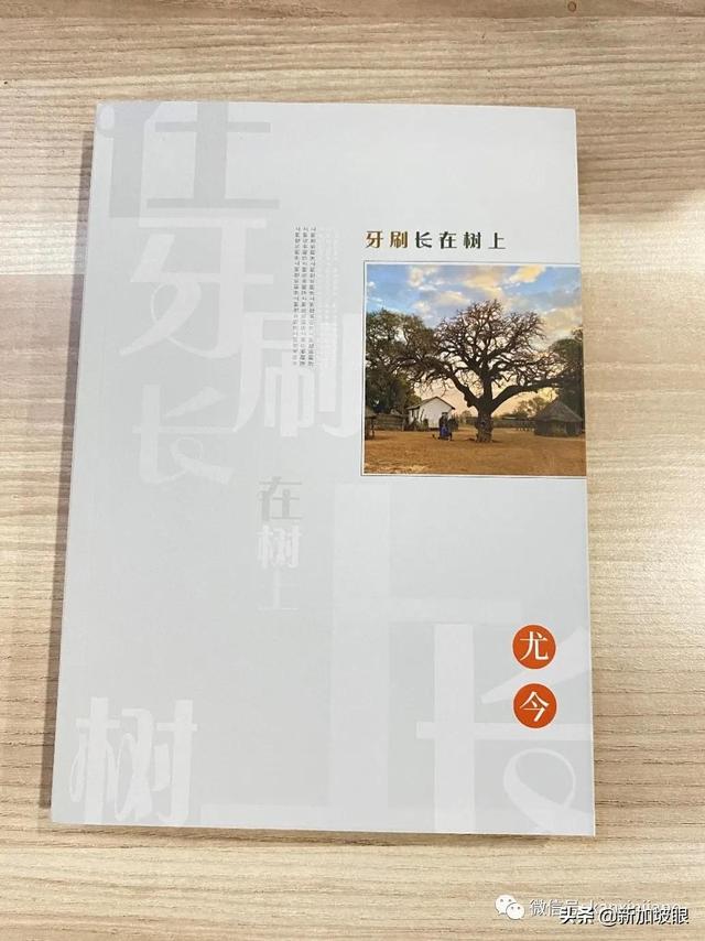 新加坡“江湖”作家，新书带你环游世界