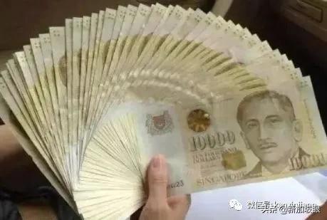 新加坡最大公共机构欺骗案：夫妇合谋骗取政府4000万培训补助金