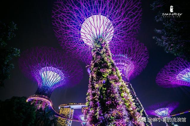 新加坡最美夜景秀，在造价10亿的超级花园中听百老汇，却免费开放