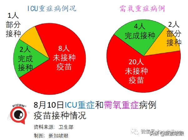 新加坡飞南京航班紧急取消！政府不承认海外纸版疫苗证书