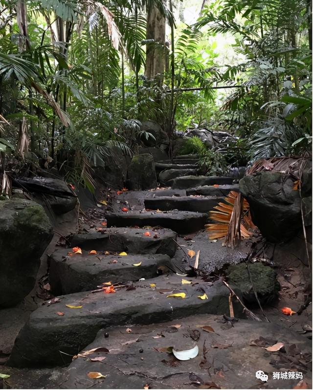 新加坡隐藏景点，10个绝美打卡地！屋顶花园，迷你瀑布......