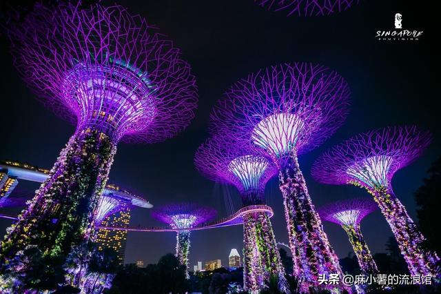 新加坡最美夜景秀，在造价10亿的超级花园中听百老汇，却免费开放