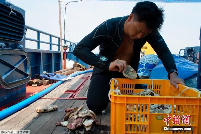 新加坡发现海底沉船 内有大量中国古瓷器