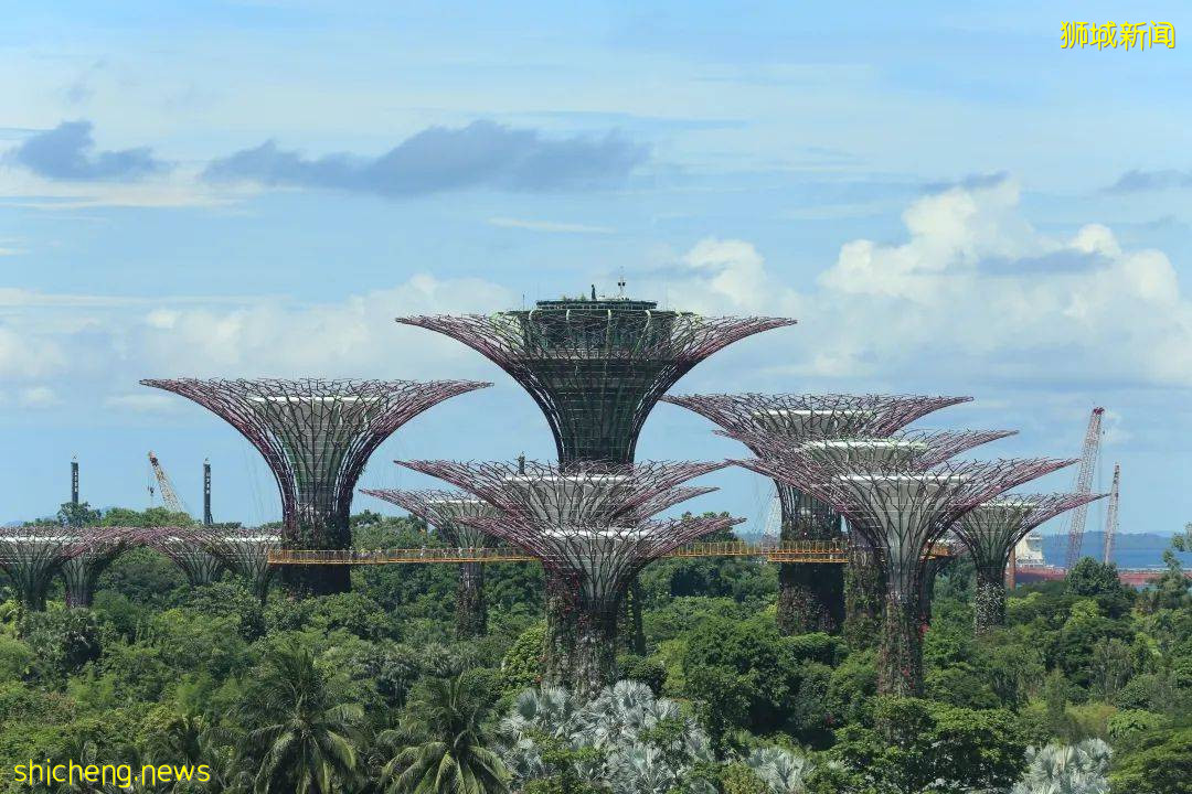 中学生该如何面对后疫情时代经济走向？新加坡国立大学经济学术集训营已准备就绪