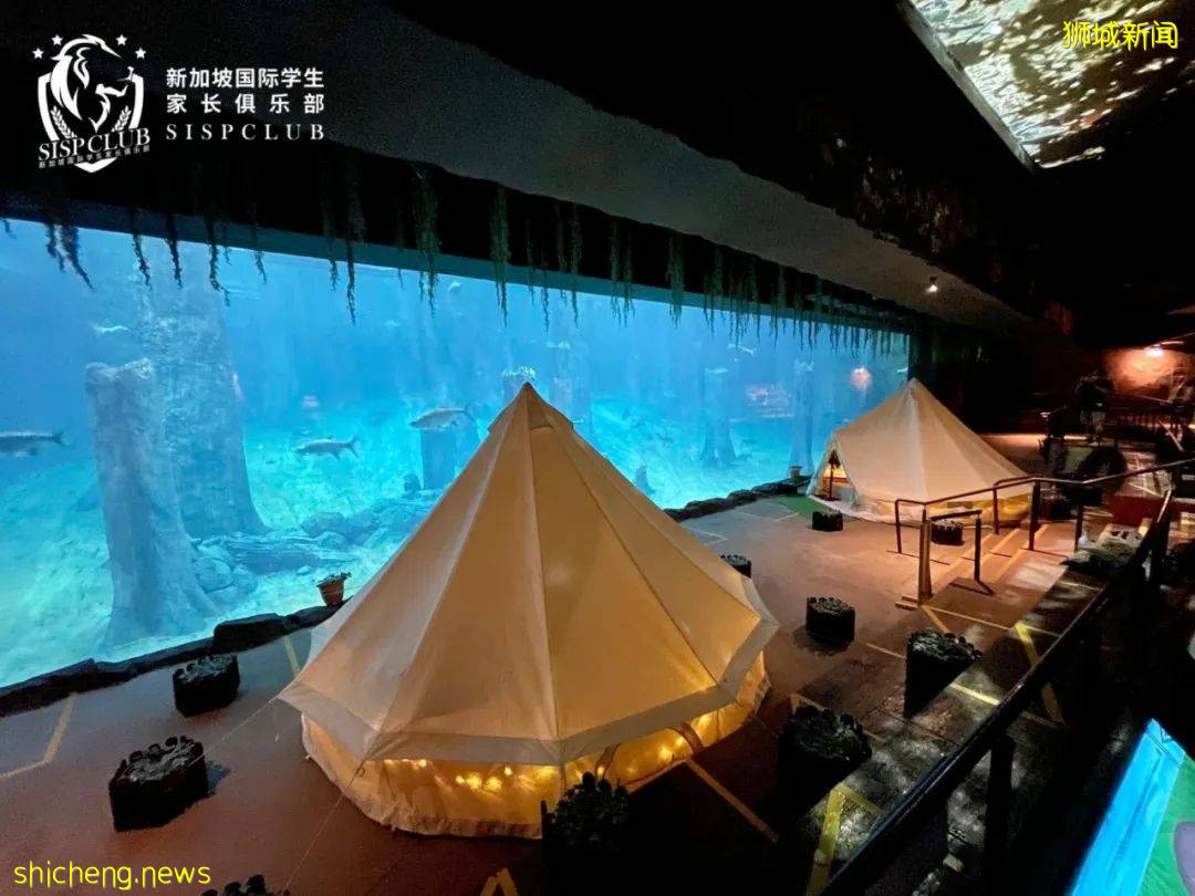 5月这么多假期,新加坡哪里遛娃好?哪里有折扣