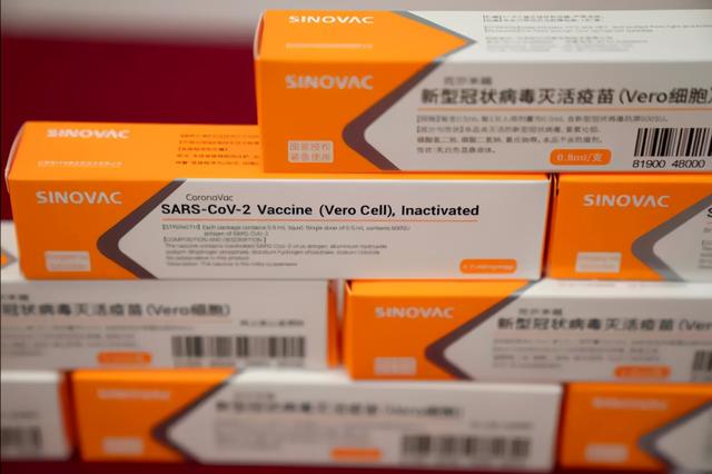 只相信美国打中国疫苗不算数？新加坡接种数据，将中国疫苗排除在外