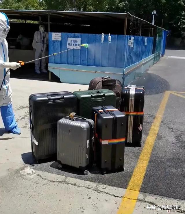 新加坡回中国避坑指南！行李箱、快递、外卖、接送等问题有讲究