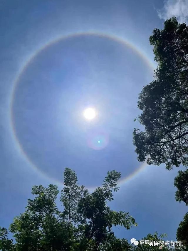 罕见！新加坡出现日晕，祥瑞之兆