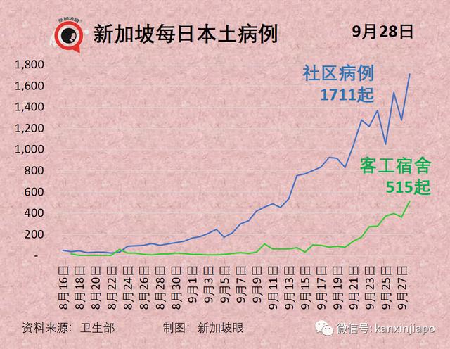 新加坡“抗疫韧性”排名大跌；冠病口服药最快年内问世