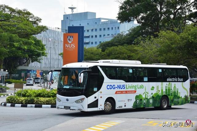 新加坡国大生将坐上电动巴士