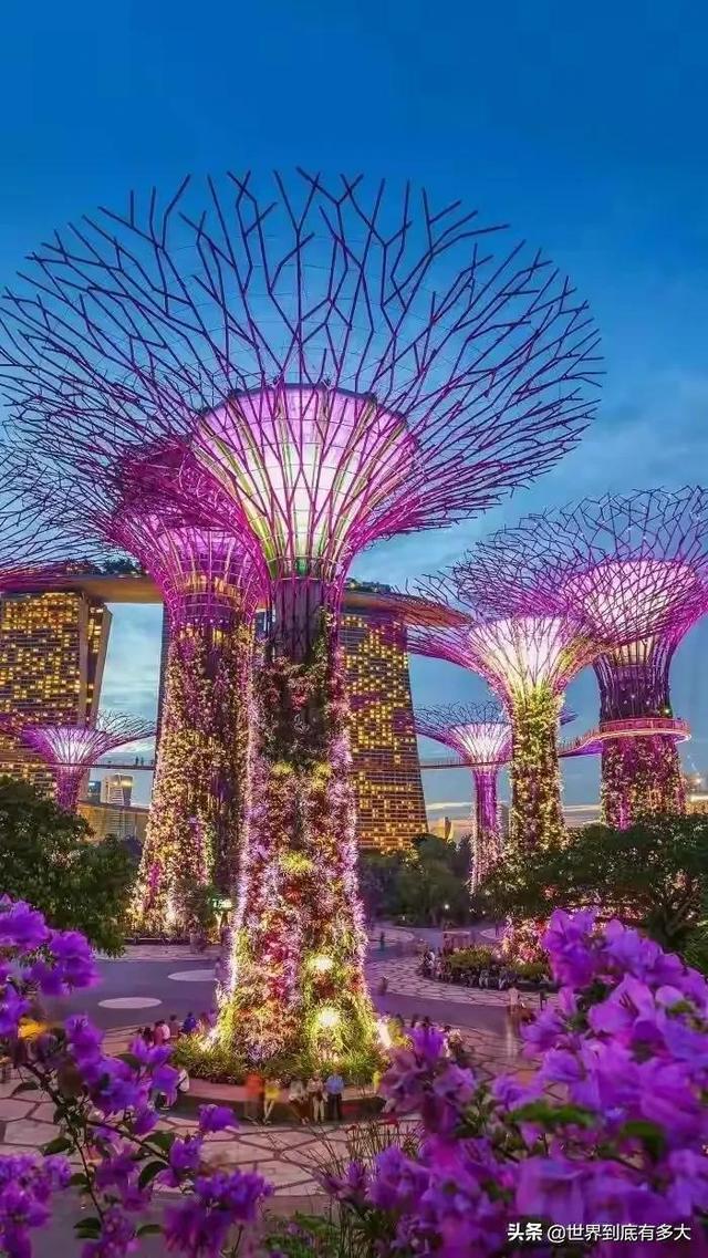 看完这组图，才知道“新加坡”有多么不可思议