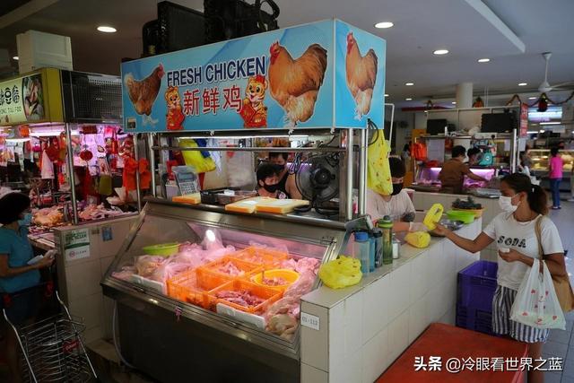 新加坡鬧“雞荒”，馬來西亞禁止雞出口，國菜“海南雞飯”沒了？