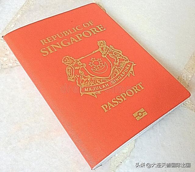 「天善國際」新加坡的簽證類型都有哪些？