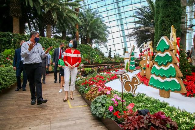 8米摩天輪、蘋果聖誕馬車，新加坡濱海灣花園變身聖誕村