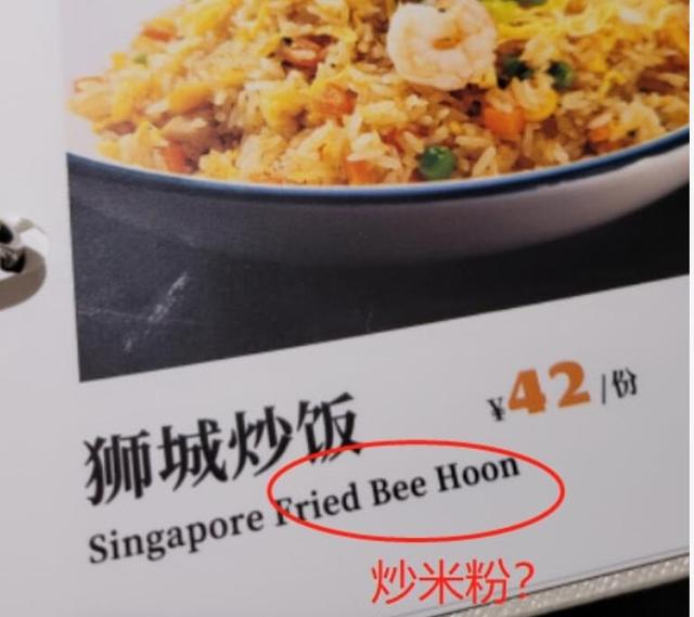 新加坡航空“餐厅”开到中国遭吐槽，网友：脑子！马来人禁食猪肉