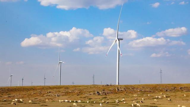 风光水核储……中国能建一批重要工程迎来关键节点