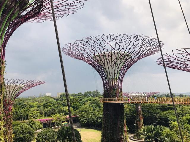 「不负好时光」说走就走的🇸🇬新加坡自由行详记