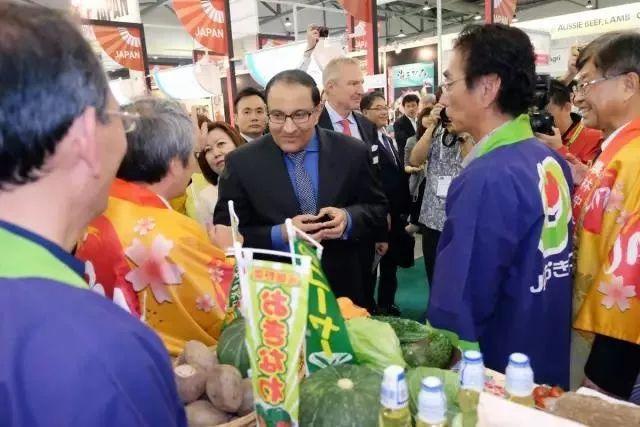 市场分析丨「经贸研究」亚太地区新加坡市场大盘点