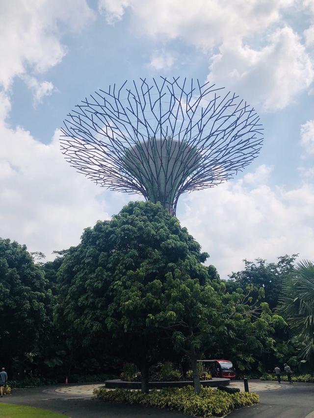 「不负好时光」说走就走的🇸🇬新加坡自由行详记