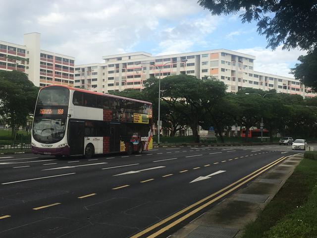 新加坡雨后的清晨凉爽宜人