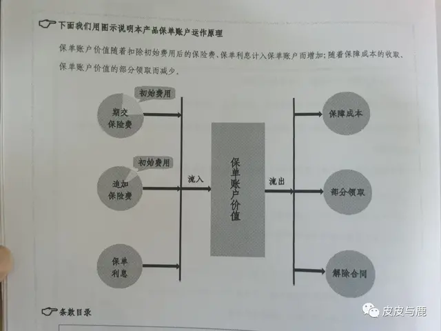 智能星、智盈人生等万能险，没买的话不要买，买了不退、暂停缴费