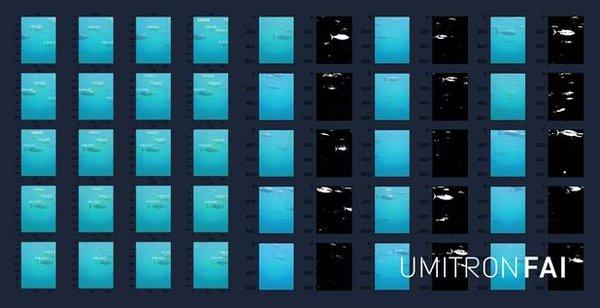 UMITRON推出首款實時海洋魚類食欲檢測系統 | 美通社