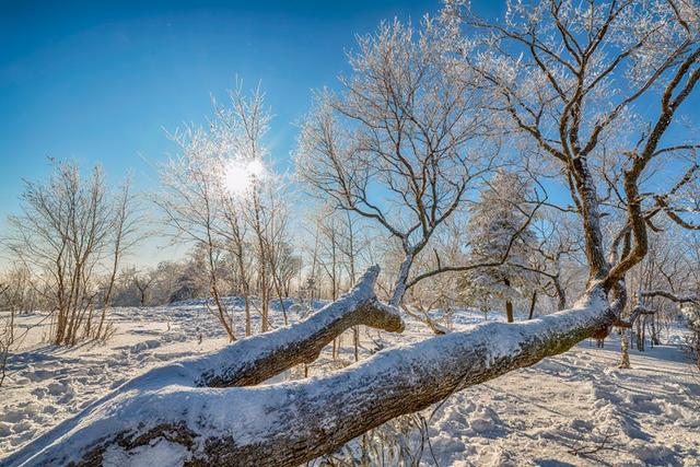 ＃映像北大湖＃旅拍燃爆北大湖，“六宗最”助力国际级滑雪场