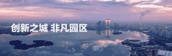 人從衆……新年第一天，金雞湖畔“穿越”了！