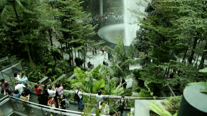 耗资85亿！新加坡把瀑布雨林搬进樟宜机场，网友们竟然期待飞机晚点了