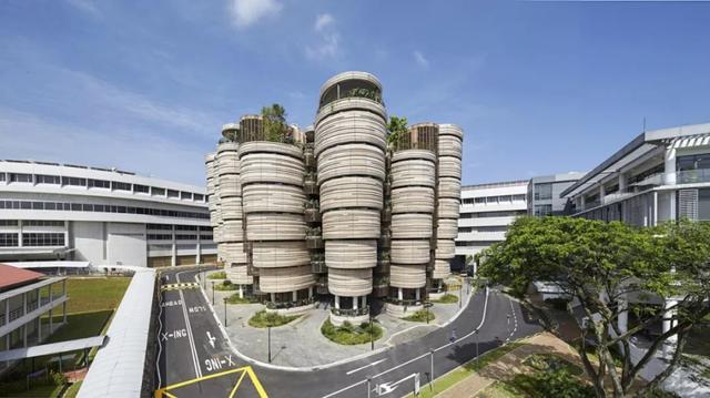 留學新加坡，政府學校 V.S. 國際學校，該怎麽選？