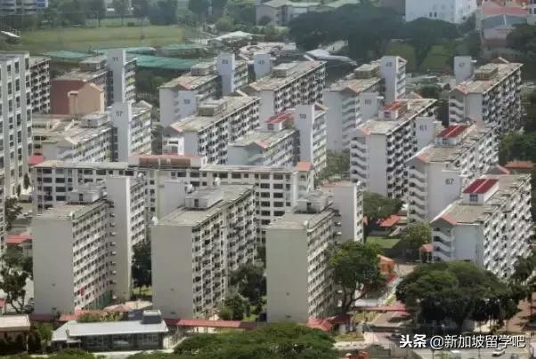 新加坡房产真的燥起来了，明年可能迎来投资风暴……