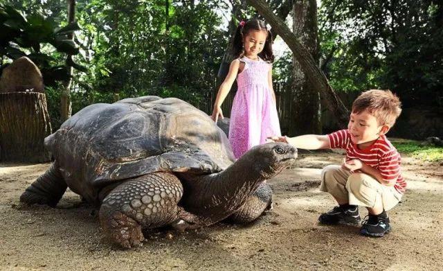弹丸之地的新加坡竟然有4个动物园，攻略准备好了，这个夏天值得和孩子一起去