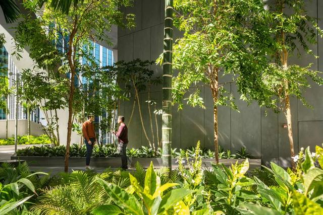 都市花园 | 新加坡Robinson大厦 / KPF