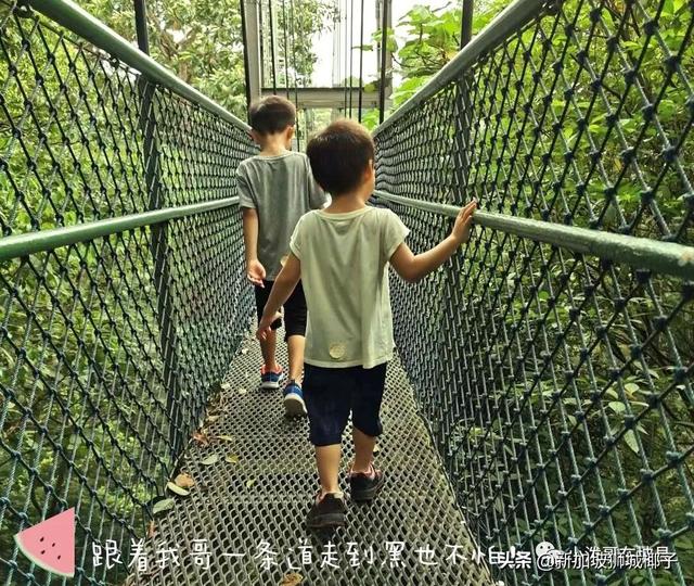 新加坡小一报名，记录一个PR的孩子的求学之路