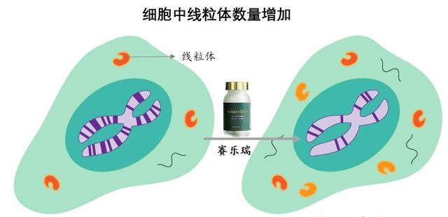 规划150岁人生？生物科技拐点将至，国际资本已抢滩登陆