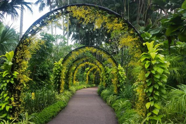 新加坡植物園 - 亞洲第一個公園景點