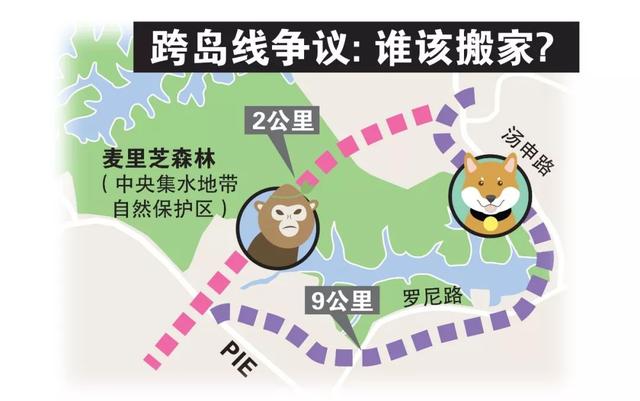 新加坡第八条跨岛地铁线2029年完工